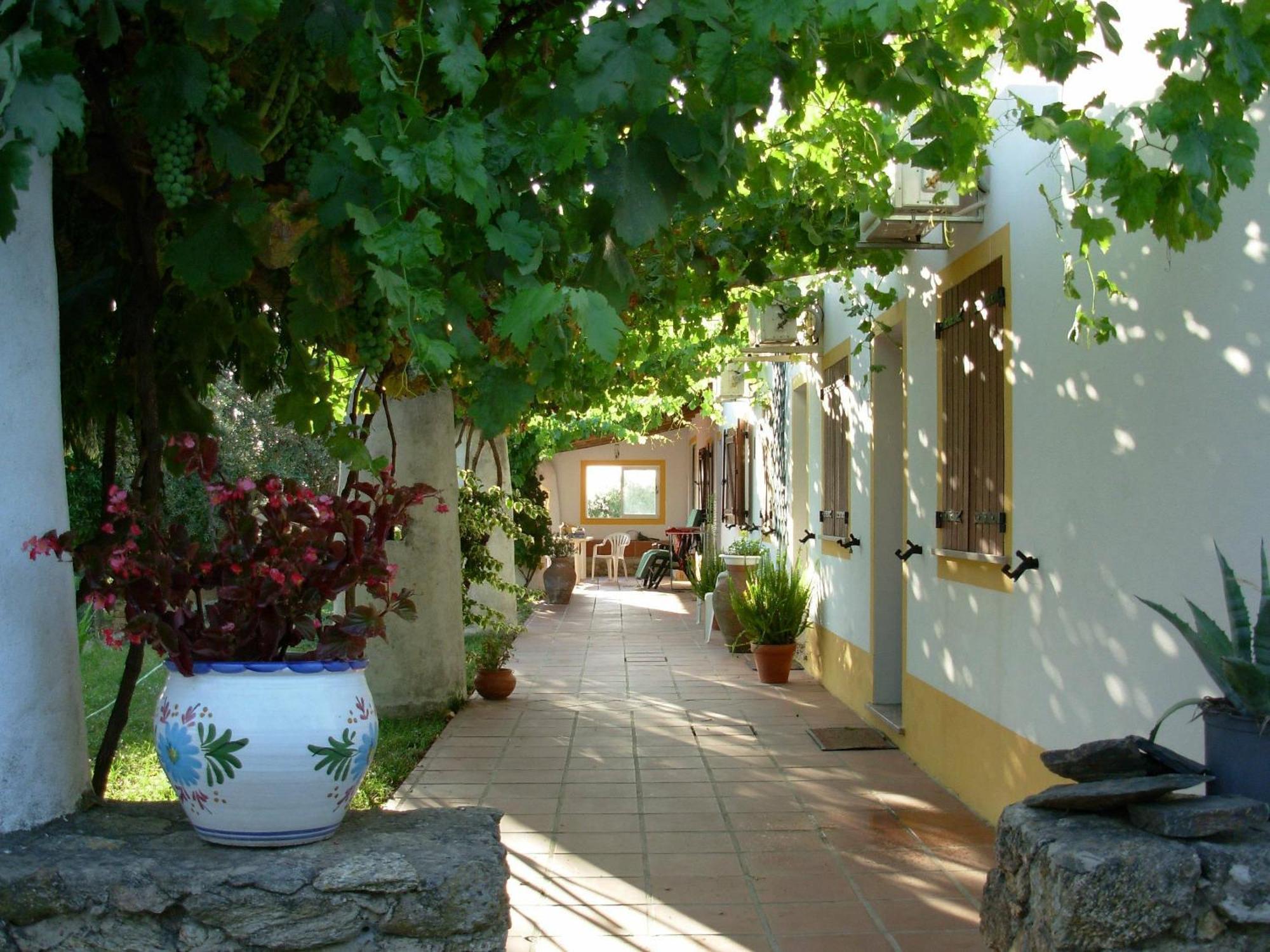 Quinta Paraiso Alagoa Екстериор снимка